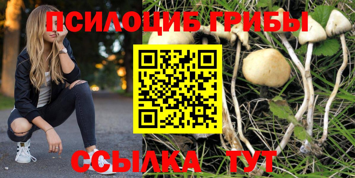 Горячий Ключ  Галлюциногенные грибы GOLDEN TEACHER  Псилоцибиновые грибы ЛСД  Вход с VPN 